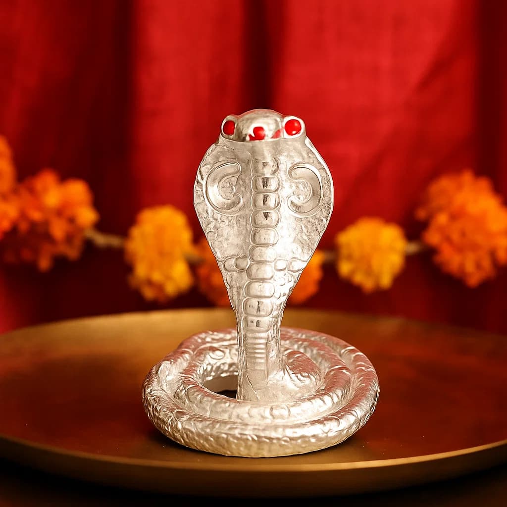 Nagraj Idol Protection - Silver